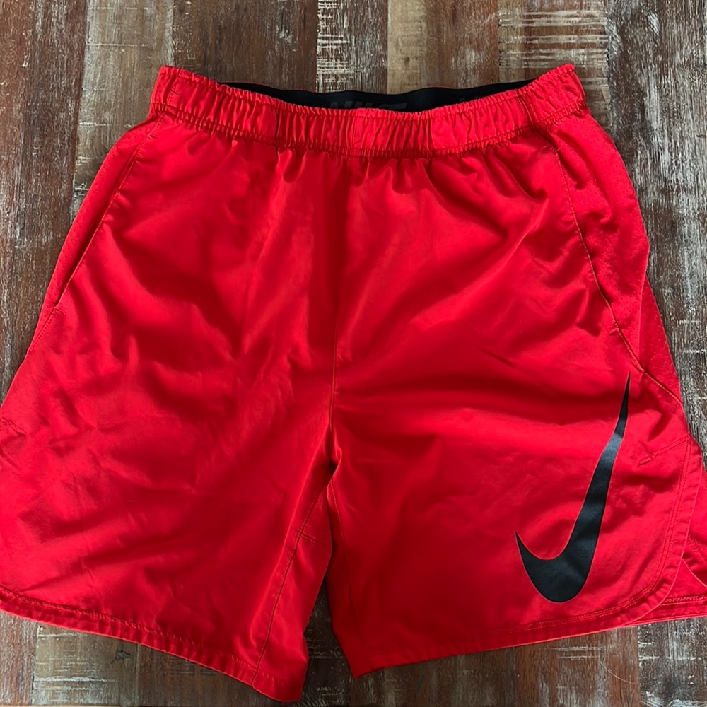 Nike Dri-Fit Mens shorts size L